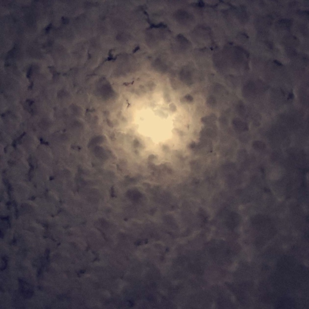 Meet your Posher, Shyleigh